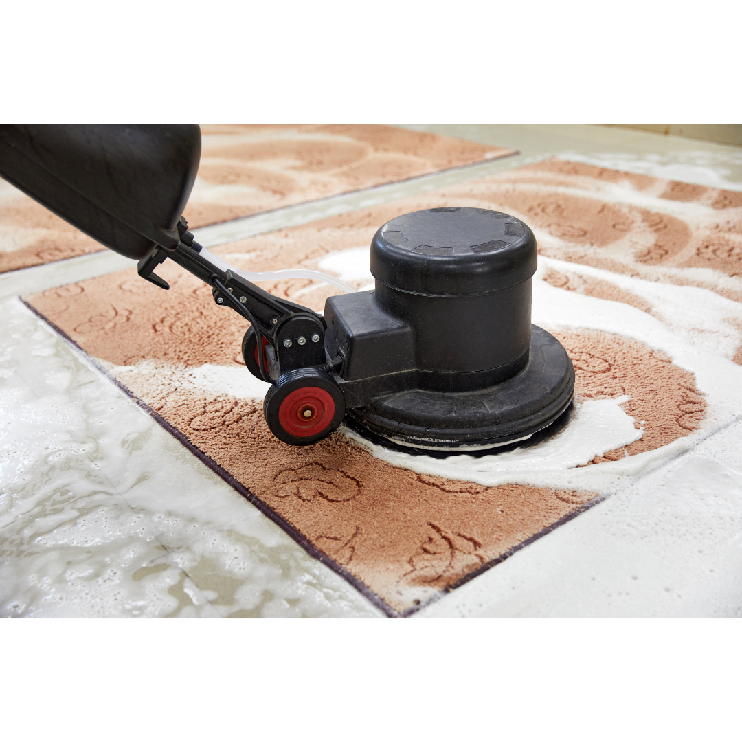 Carpet Cleaning